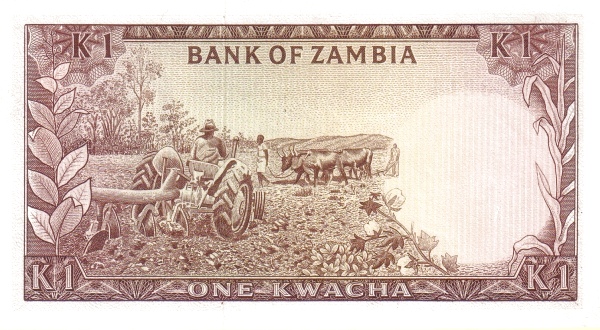 ZAM0019ar