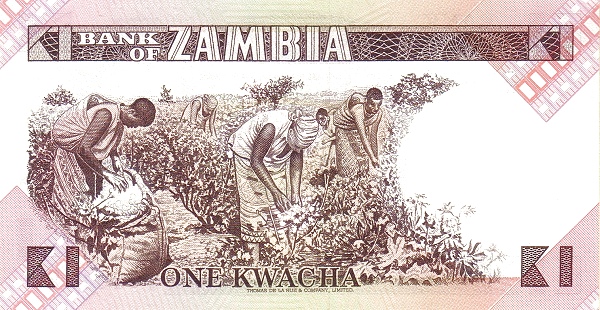 ZAM0023ar