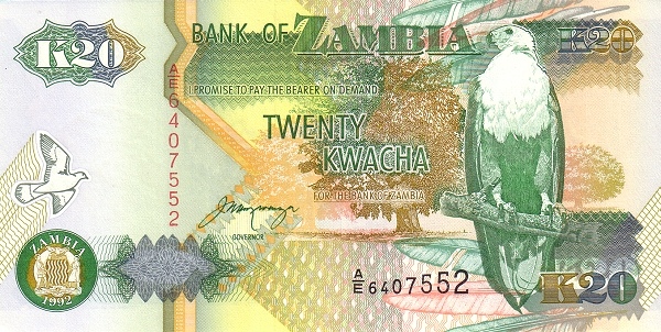 ZAM0036bo
