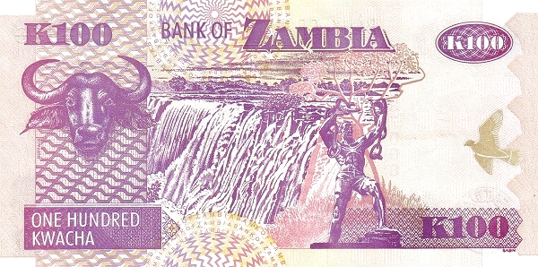 ZAM0038dr