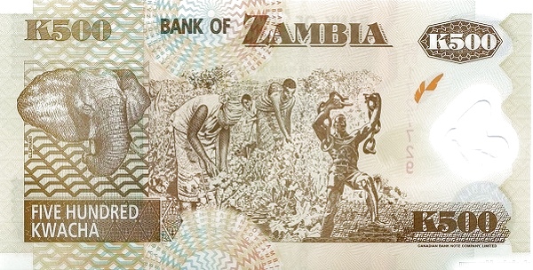 ZAM0043cr