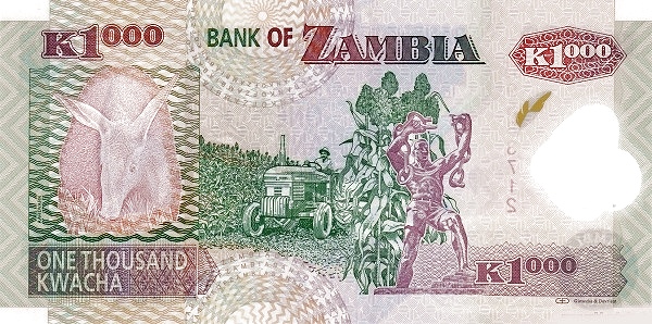 ZAM0044-2011r